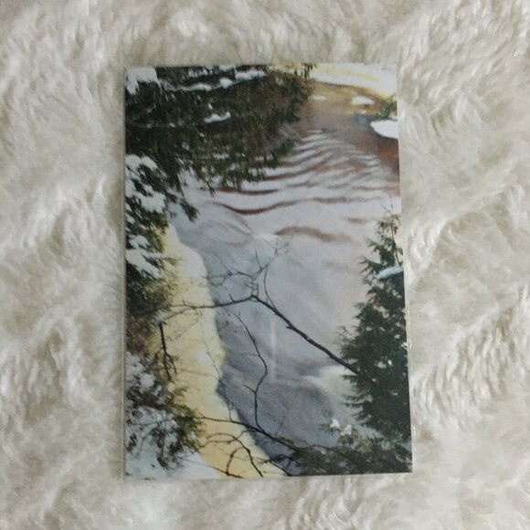 Four Canadian Winter Original Photographs Icy River, Mossy Bark, Still Water - Picture 4 of 7